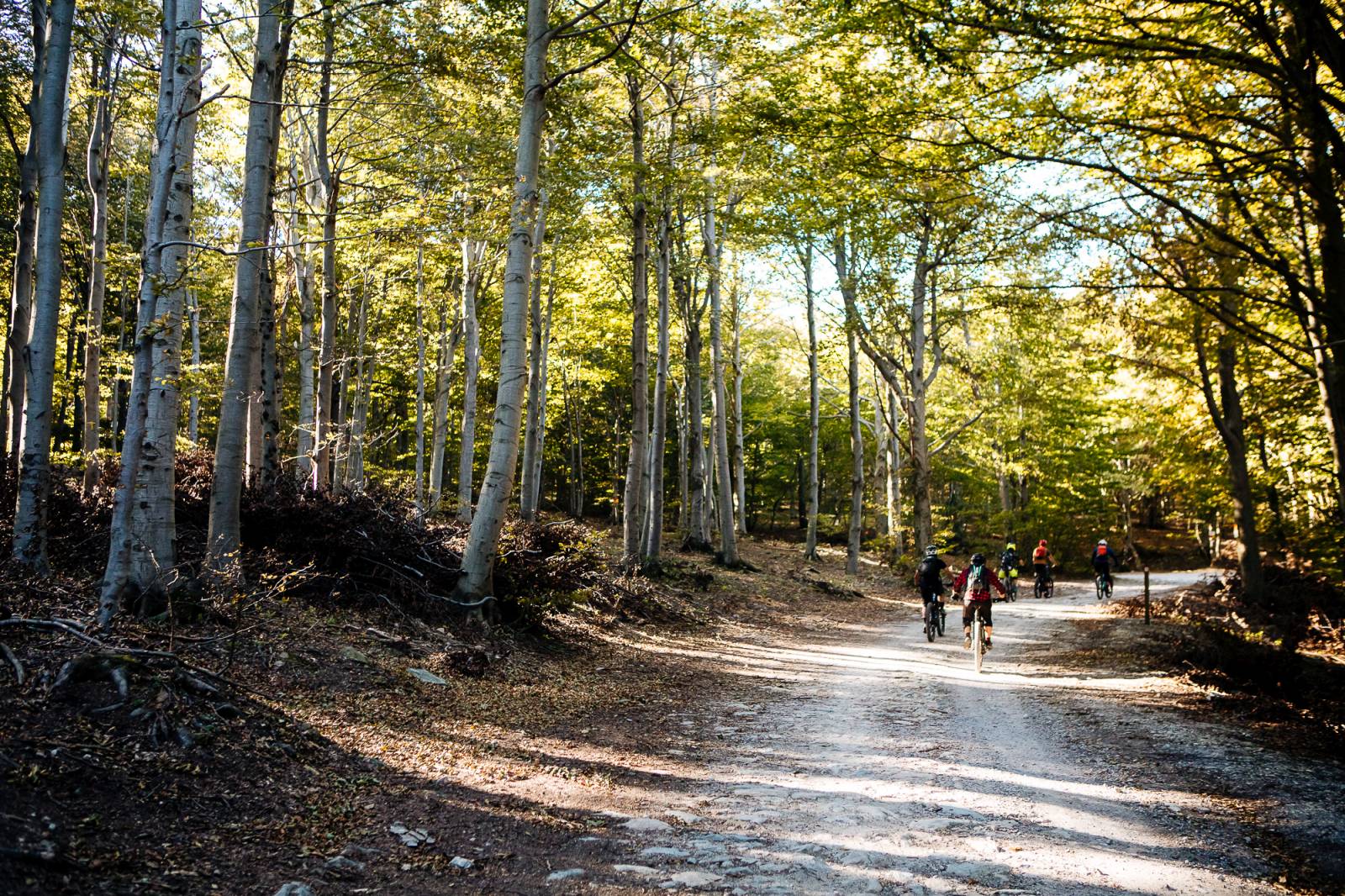 03_10.16_MG_0671